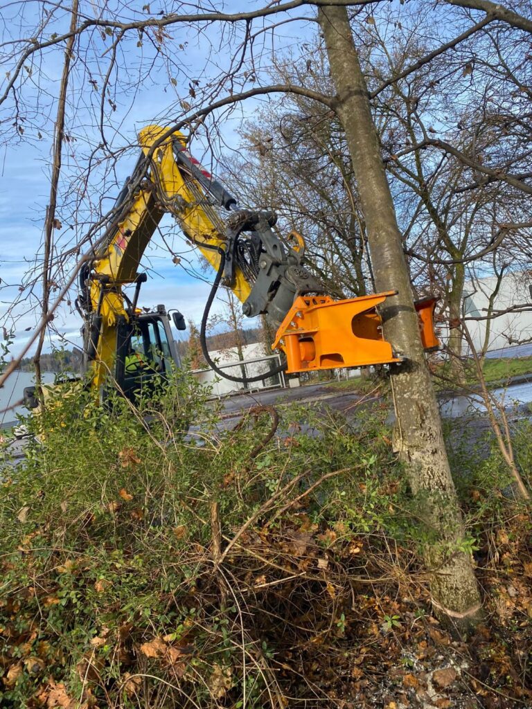 Baumfällung, Fällgreifer