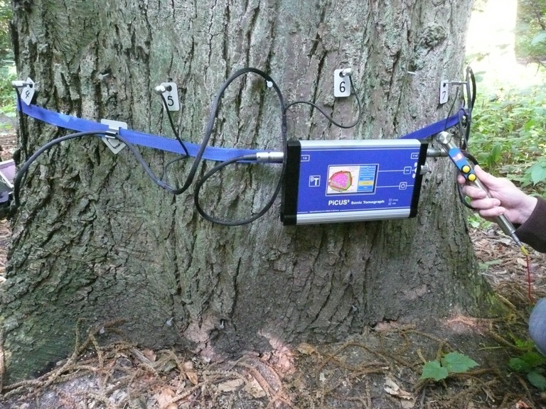 Schalltomographie Trostberg Chiemgau