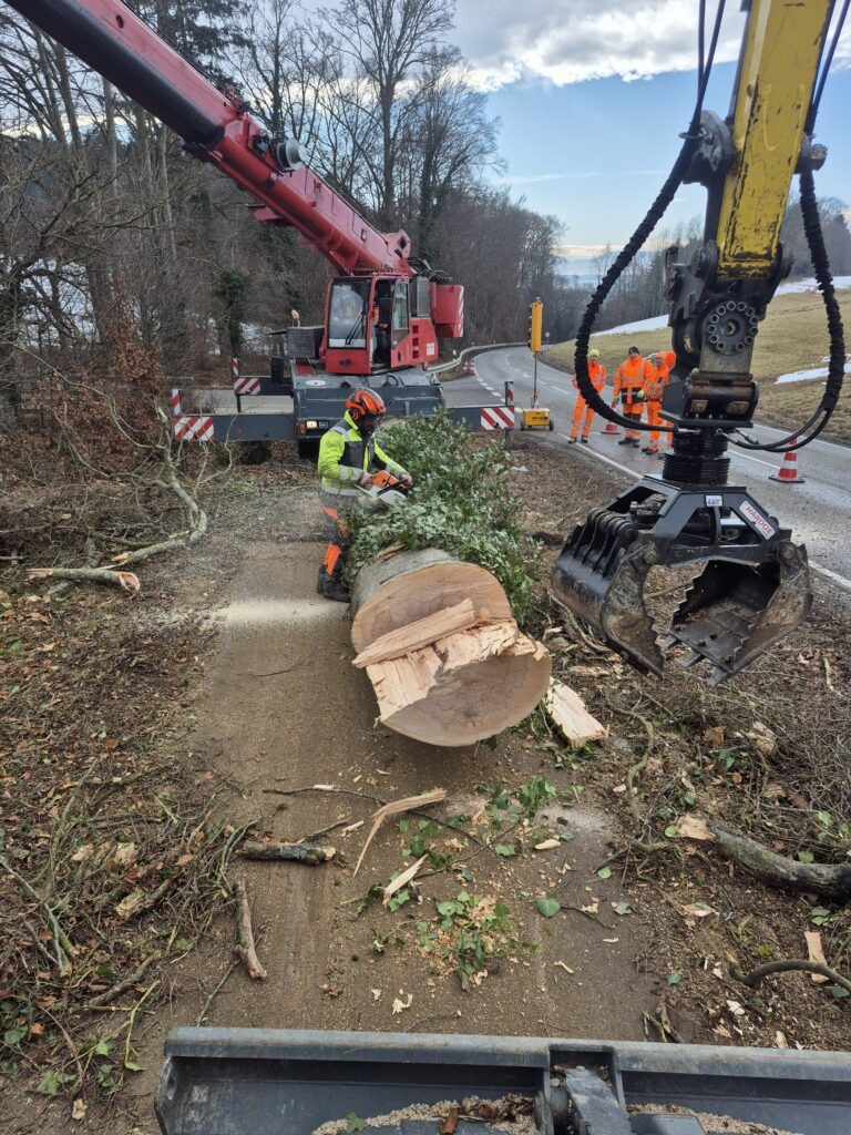 Baumfällung mit Kran und Arbeiter Baumgartner Landschaftsbau Trostberg