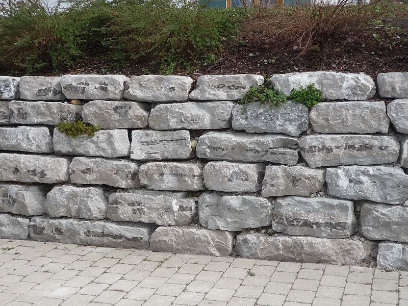 Steinmauer mit Pflanzenbewuchs Trostberg